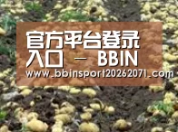种植基地八(图1)