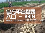 种植基地七(图1)